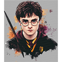 Harry Potter-HP 217